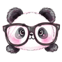 The Paper Pandas Stationary &amp; Gifts - Home